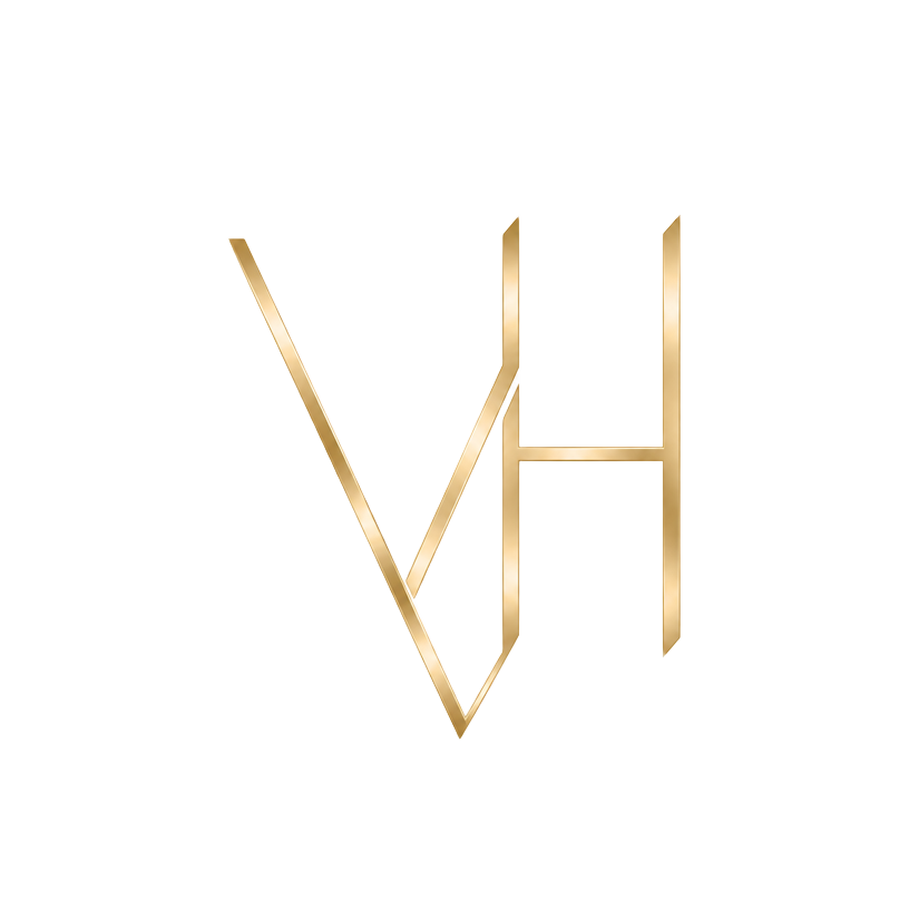 Logo Visionary Hub
